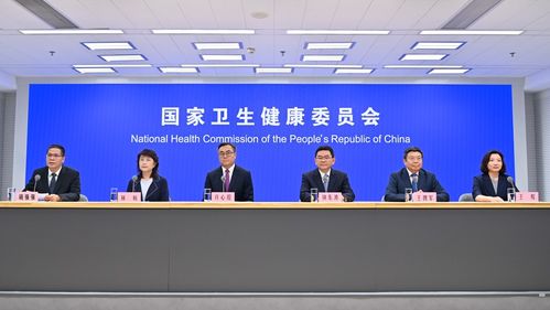 北京 科技賦能醫(yī)改，信息技術咨詢提升基層診療效能