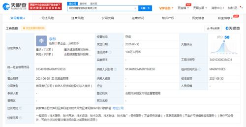 北京信息技術咨詢服務 驅動企業(yè)數(shù)字化轉型的核心引擎